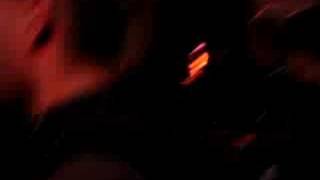 Tampa Bum Blues live from Wheaton