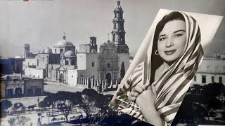 FLOR SILVESTRE, VIEJO NOPAL