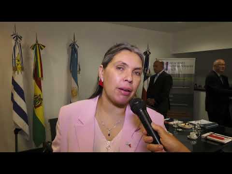 Acuerdan una agenda de trabajo con Chile para impulsar el desarrollo regional