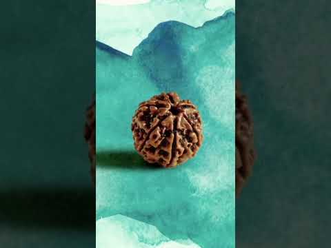 Rudraksha Diksha Initiation with Sadhguru - Online | 7:30PM IST, January 3, 2022