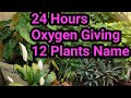 12 Best Plants That Produce Oxygen 24 Hours / Room Airpurifier Plants/ 24 घंटे आक्सीजन देनेवाले पौधे