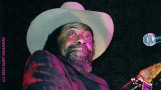 Son Seals - Mother Blues