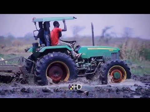 Samba Bah on Observer Farmer