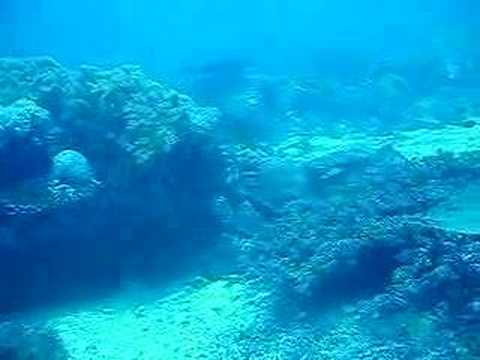 Apo Island, Apo Island,Philippinen