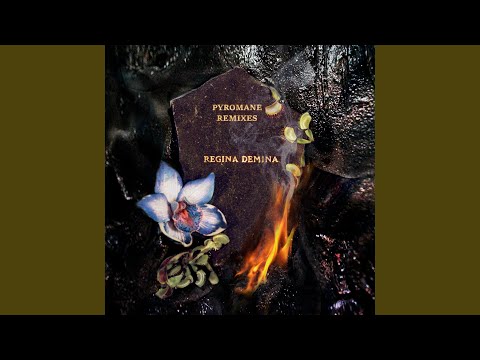 Pyromane (Fifth Era Remix)