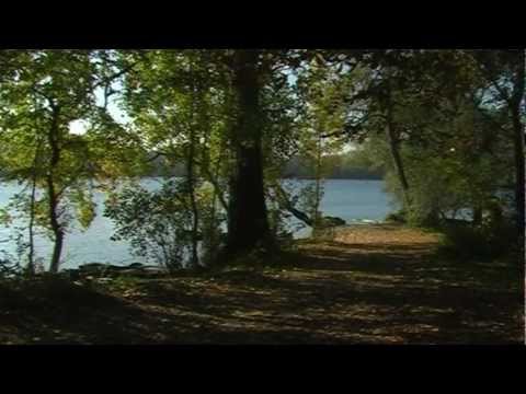 Die Rheinauen zwischen Wintersdorf und Rußheim  © by LightRay-Studio