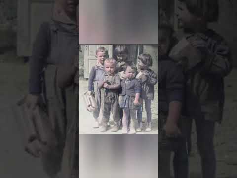 Generacija 70  - Ja sam rodjen sedamdesete - Ja sam rodjen 70 te -NikolaBrojanica (2024)