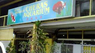 preview picture of video 'V24 19/4/09 Visiting Cheras Aquarium'