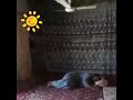 Garmi Ka Mosum ️ ️ ️ Haye Garmi Uff Funny Status For WhatsApp