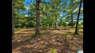 N COUNTY ROAD 21 | PRATTVILLE Real Estate