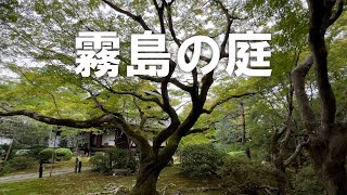 【青蓮院の庭】相阿弥の庭→霧島の庭→大森有斐の庭（好文亭）→日吉社→宸殿→長屋門（2025年10月11日）