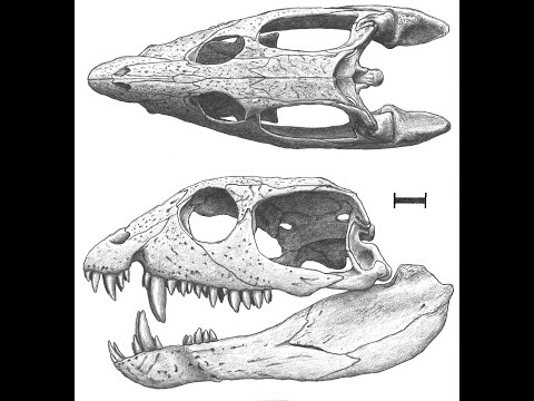Triassic Profiles 1_Vancleavea