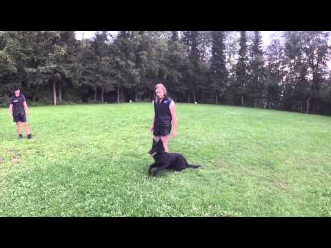 Connor von Pike´s Spirit