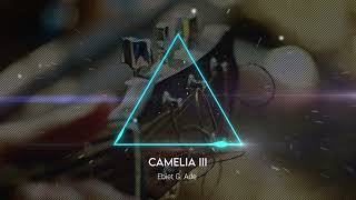 Download lagu Ebiet - Camelia III mp3