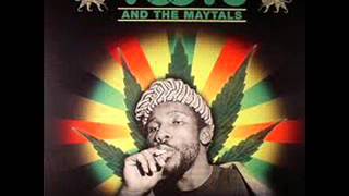 Toots and the maytals - higher ground (version)