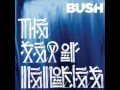 Bush - The Year Of Danger 