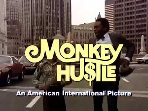 Video $The Monkey Hustle