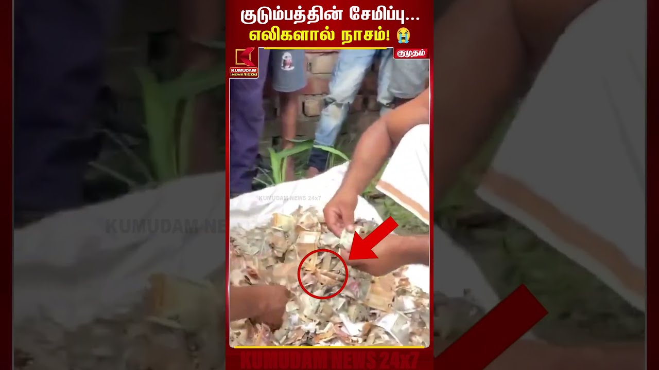 எலி கடித்து சேதமான லட்சக்கணக்கான பணம்.. கதறி அழும் குடும்பத்தினர் | Money | Kumudam News