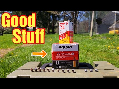 Aguila Super Extra .22LR Test Results \u0026 Review