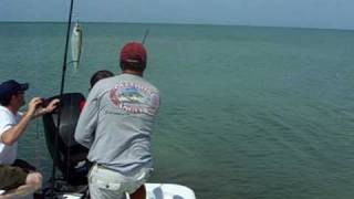 preview picture of video 'Fishing - Liam catching big yellow Jack Fish off of Marco Island in Florida 4/17/09'