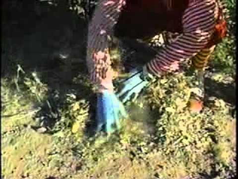 Payaso Tirantitos jardinero