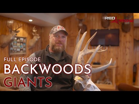 190 Steps Out Of Woods! I Red Arrow I Full Episode