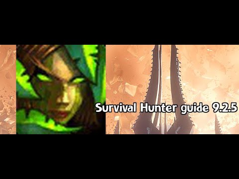 Quick Survival Hunter Rotation guide | WoW 9.2.5