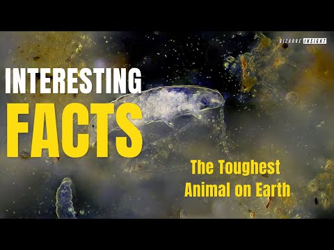 The Toughest Animal on Earth