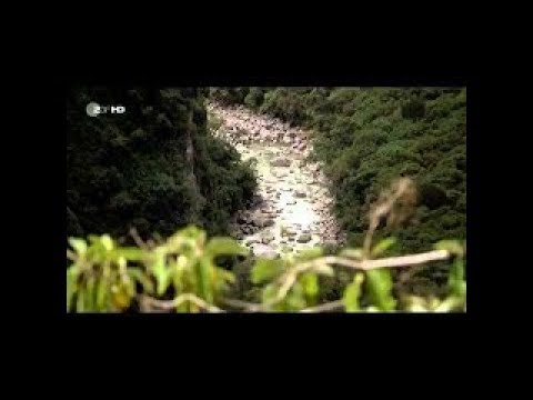 21.07.2011 Universum Der Blick von oben (TEIL 2) 720p HDTV