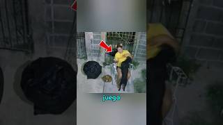 Download lagu esta mujer pensó que ese era su verdadero perro #perros #animales mp3 Download lagu esta mujer pensó que ese era su verdadero perro #perros #animales mp3