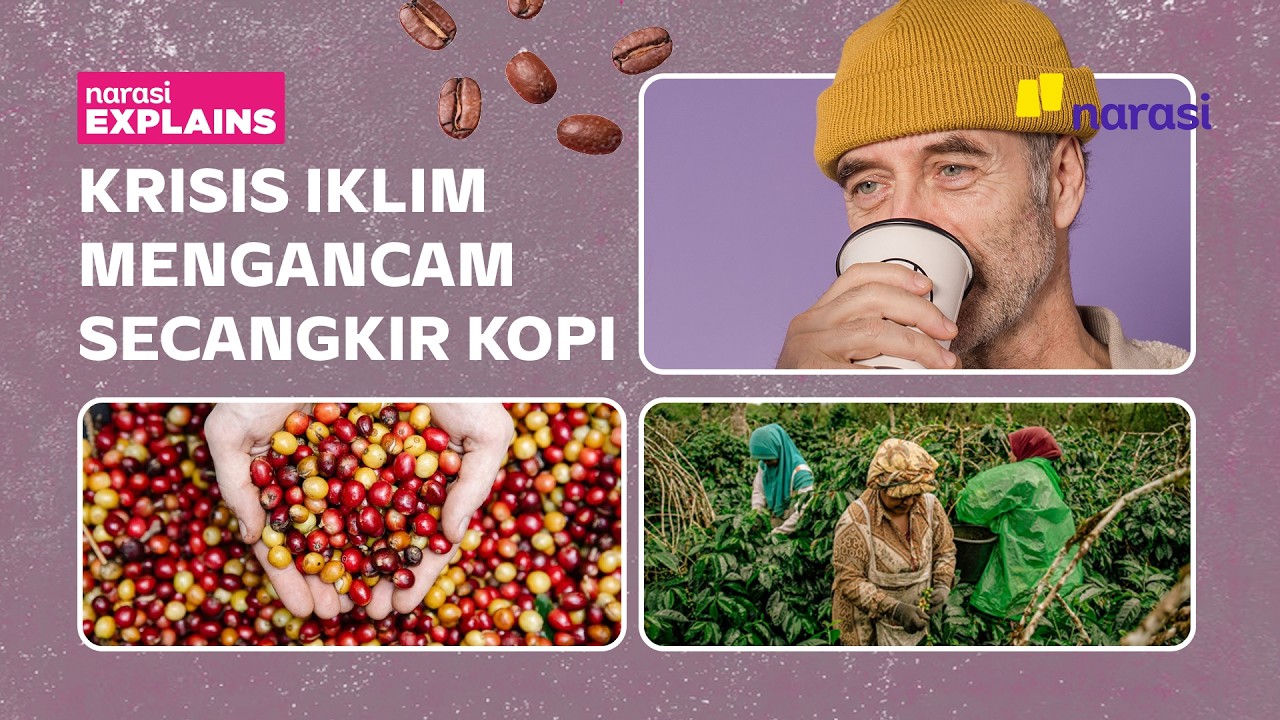 Bagaimana Krisis Iklim Mengubah Rasa Kopi Menjadi Tak Sama Lagi | Narasi Explains
