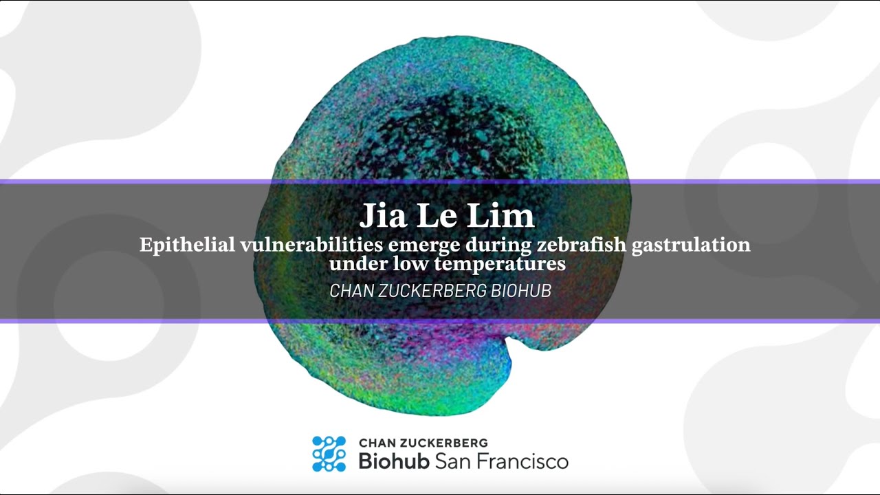 Physics of Life Symposium 2025: Jia Le Lim