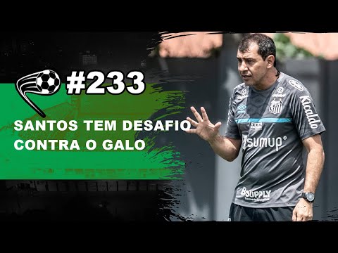 Santos enfrenta o Atlético-MG e tenta fugir do Z4