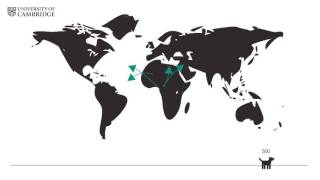 Canine transmissible venereal tumour: the contagious cancer that conquered the world