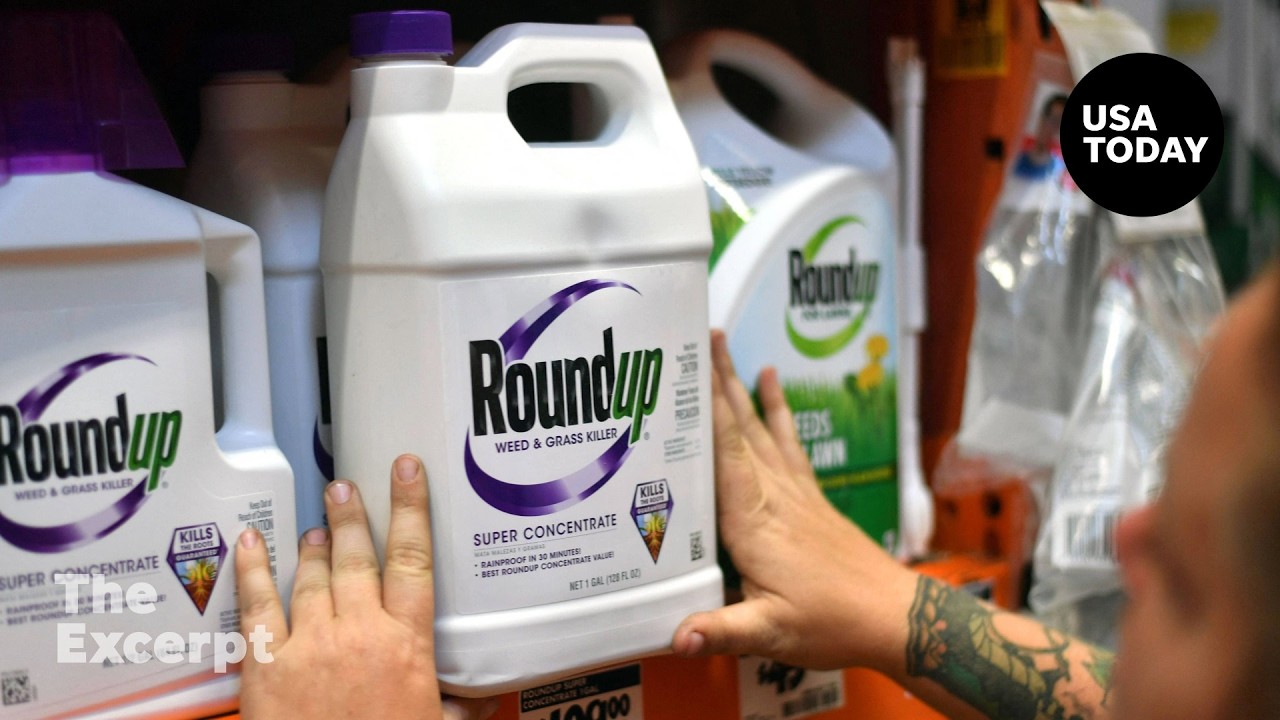 Does Monsanto’s Roundup weedkiller need a cancer warning? | The Excerpt