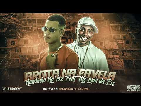 NANDINHO NA VOZ FEAT MC LUAN DA BS - BROTA NA FAVELA