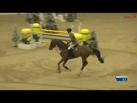 Zineday v. Zinedine-Polydor, Turnier Opglabeek 2019,1,15m