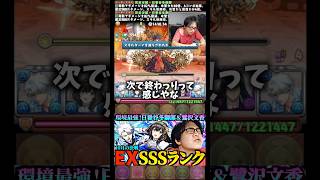【最強】火力も高いし耐久もできる。日番谷冬獅郎が環境1位ですね #たかし #パズドラ