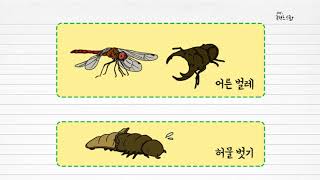 과학 3학년 1학기 3단원 6차시 영상(56-57p)