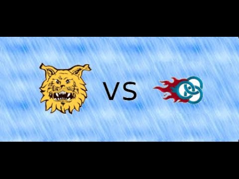 Ringette B SM, Ilves - BlueRings