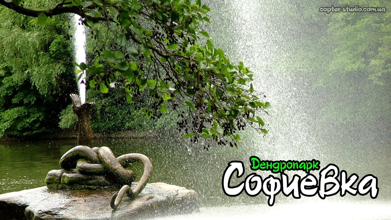 Полезное видео