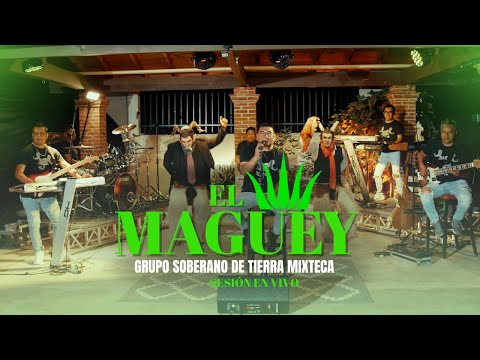 El Maguey - Grupo Soberano De Tierra Mixteca (Sesión en Vivo)