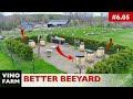 I Fixed My Bee Yard For The BEES And The Keeper