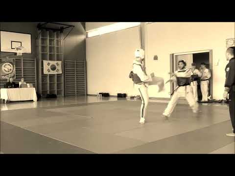 Daehanminguk Hapkido Austria Freikampfturnier Luftenberg 02.04.2016