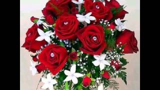 Te llegara una rosa Alberto cortez