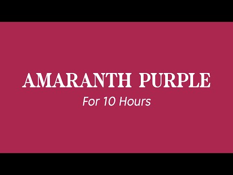 Amaranth Purple | Colour Screen Night Light Screensaver | #AB274F Hex | RGB(171, 39, 79)