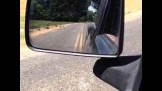 Subs bumping hella good!