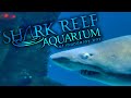 2021 Shark Reef Aquarium At The Mandalay Bay Las Vegas NV Overview Experience
