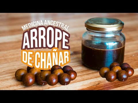 How to make ARROPE DE CHAÑAR 🌙 An ancestral and medicinal food from the tree of a thousand uses.
