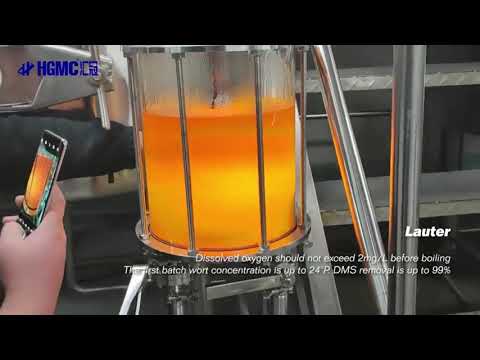 Full Processing for Craft Beer Brewing from HGMC